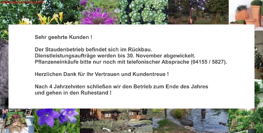Startfoto Staudeng�rtnerei Witzeeze